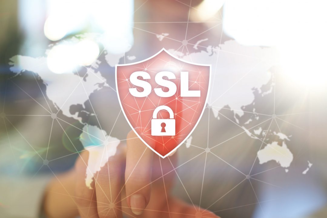 Teknotel 5 Adımda SSL Sertifikası Kurulumu